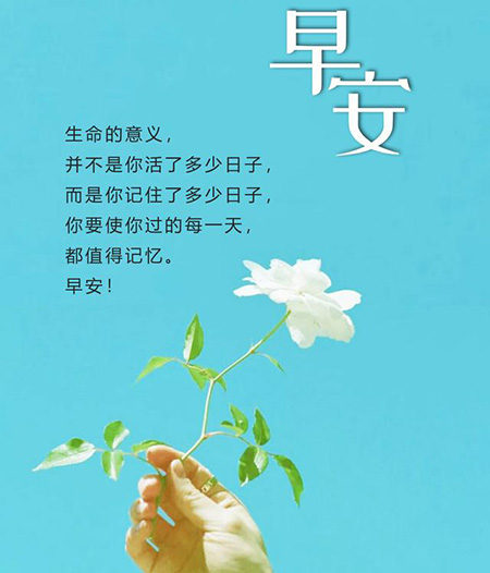 高情商早安句子，早上好问候语一句吧