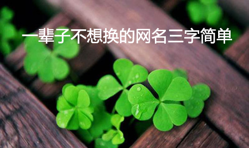 一辈子不想换的网名三字简单